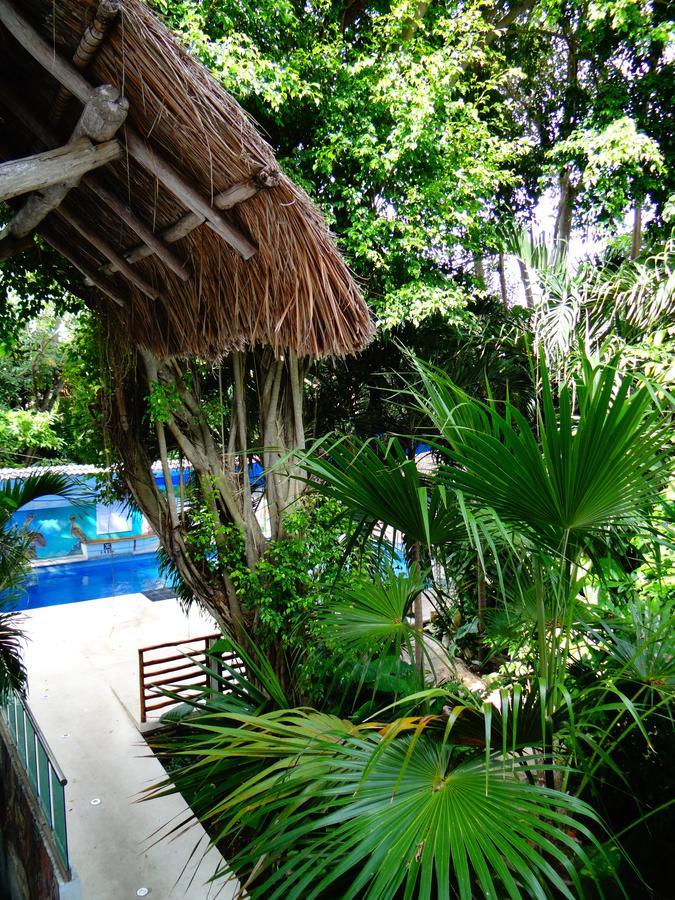 Casa Tucan Hotel Playa del Carmen Exteriér fotografie