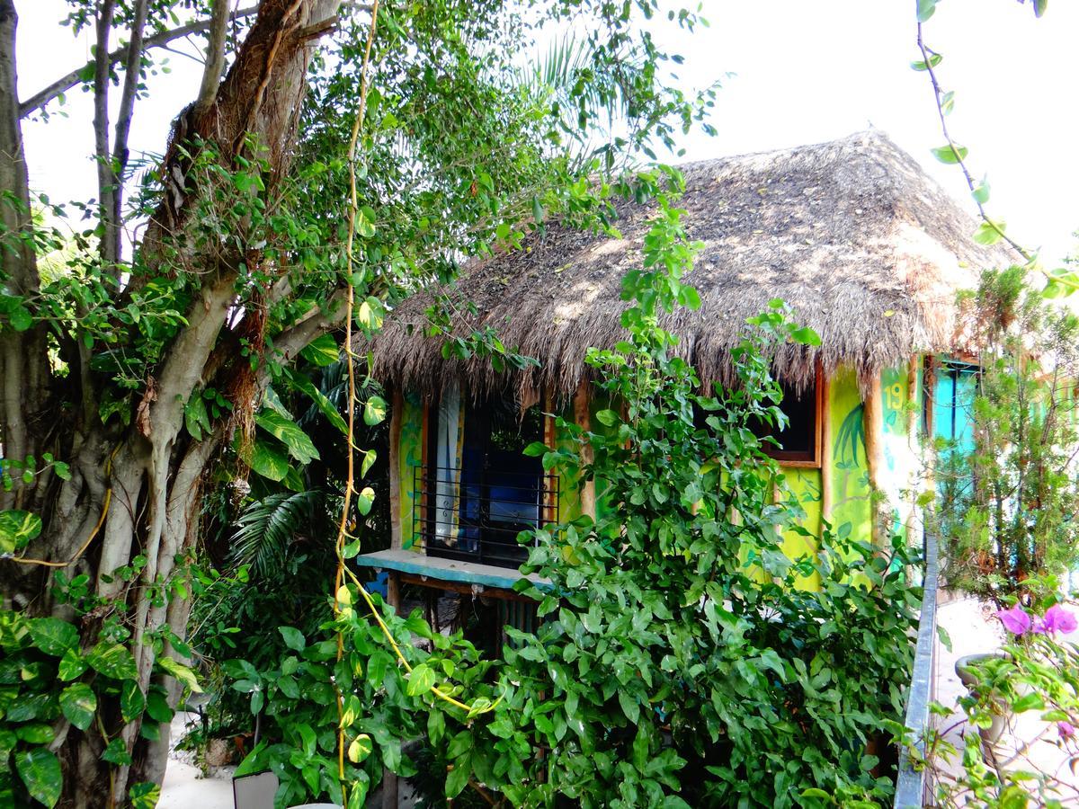 Casa Tucan Hotel Playa del Carmen Exteriér fotografie